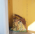 Torba LOQI GUSTAV KLIMT Kiss Pocałunek